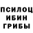 Псилоцибиновые грибы Psilocybe Betty Wolf