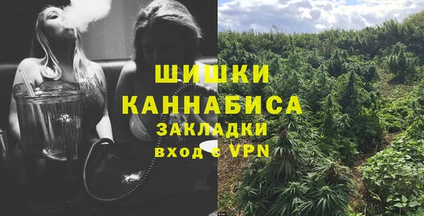 гидра Аркадак