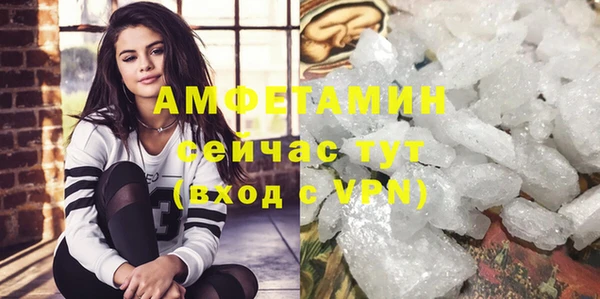 гидра Аркадак