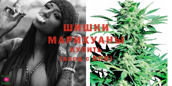 гидра Аркадак